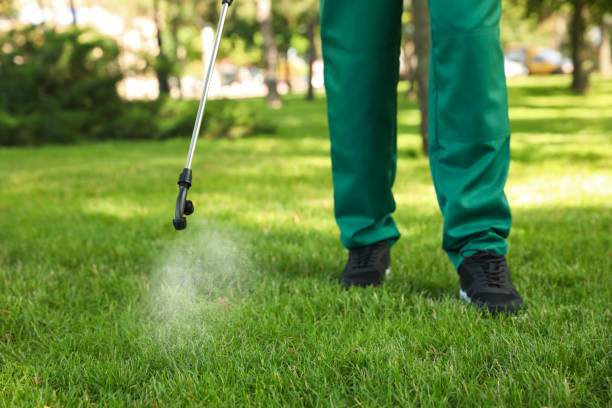 Best Pest Prevention Services  in Newtown, OH