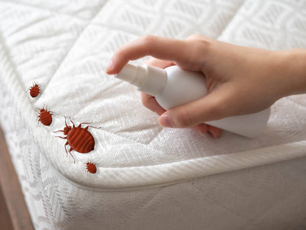 Best Pest Control for Homes  in Newtown, OH