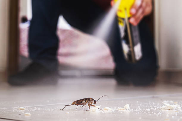 Best Commercial Pest Control Services  in Newtown, OH