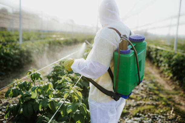 Best Best Pest Control Companies  in Newtown, OH